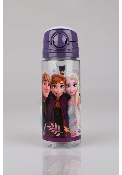 Dekomus Cep Defteri İle Yeni Sezon Lisanslı Frozen Elsa 500 Ml Trıtan Matara Altın