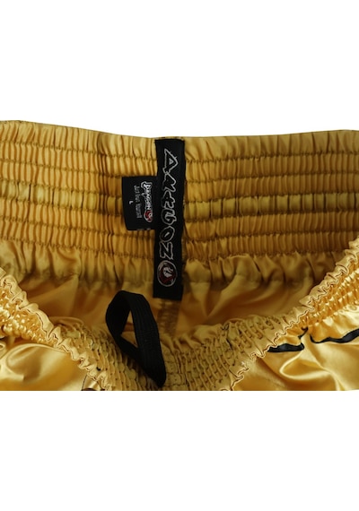 Dragondo Mt3033 Muaythai Şortu Gold Kick Boks Şortu Altın