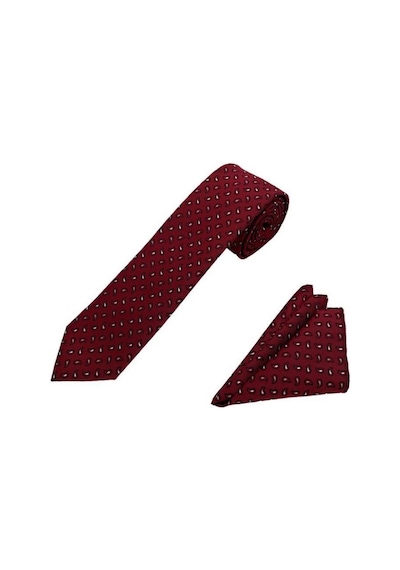Brianze Bordo Küçük Şal Desen Kravat Mendil Set Bordo
