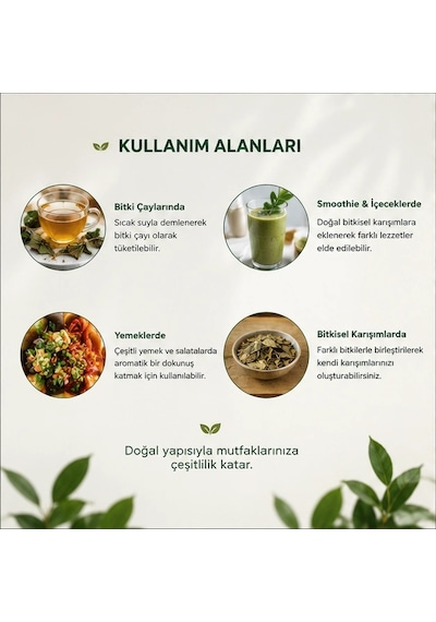 Gimneya Gymnema Sylvestre Cinnema Gurmar Otu - 2 Kg