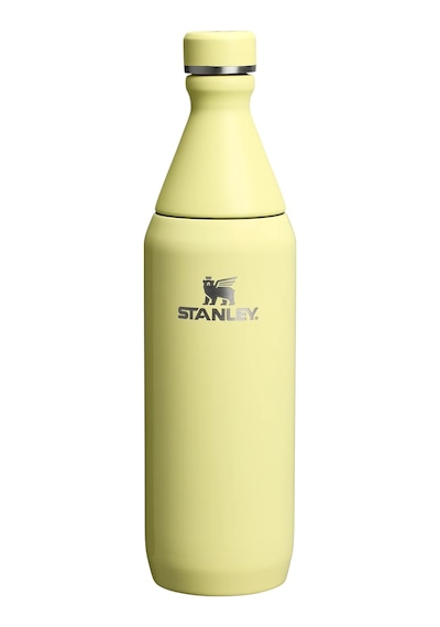Stanley The All Day Slım Su Şışesı 0.6l 10-12069-119 Renkli
