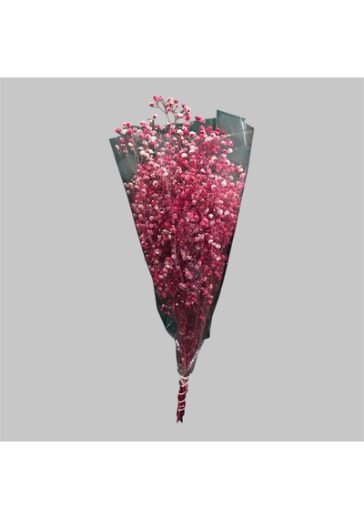 Şoklanmış Kurutulmuş Cipso Çiçeği 1 Demet 50-60gr - 35-45cm Kırmızı