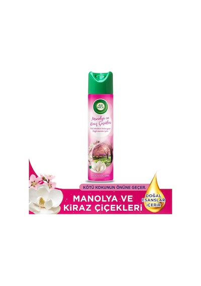 Aerosol Oda Kokusunda Manolya Ve Kiraz Çiçeği Acıbadem