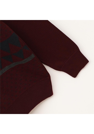Dio Rise Erkek Uzun Kol İnce Sweatshirt - 189020 - Koyu Bordo Koyu Bordo