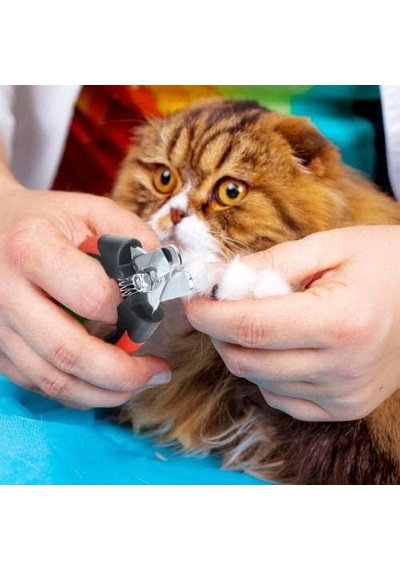 Kedi Köpek Tırnak Makası 12,3 Cm
