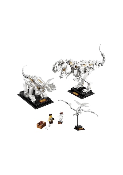 LEGO® Ideas 21320 Dinozor Fosilleri 910 Parça