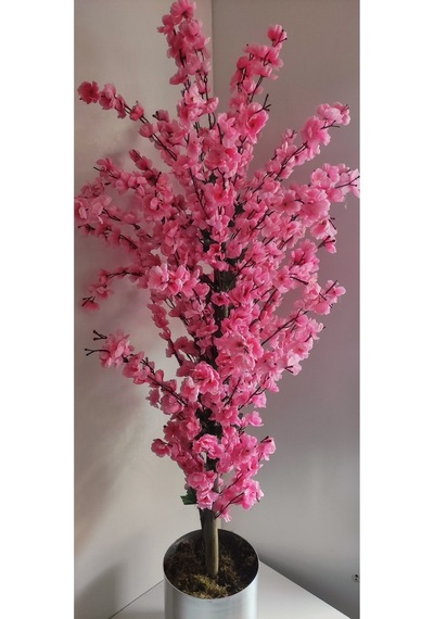 Rüzgar Çiçekcilik 145 Cm Pembe Metal Saksıda Bahardali Pembe