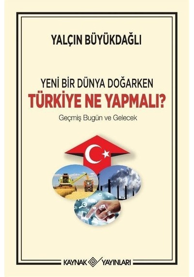 Yeni Bir Dünya Doğarken Türkiye Ne Yapmalı / Yalçın Büyükdağlı