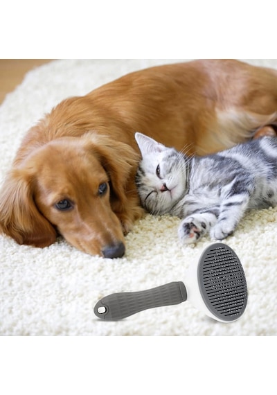 Kedi Köpek Tüy Toplayıcı Pet Tarak 20 Cm Çok Renkli