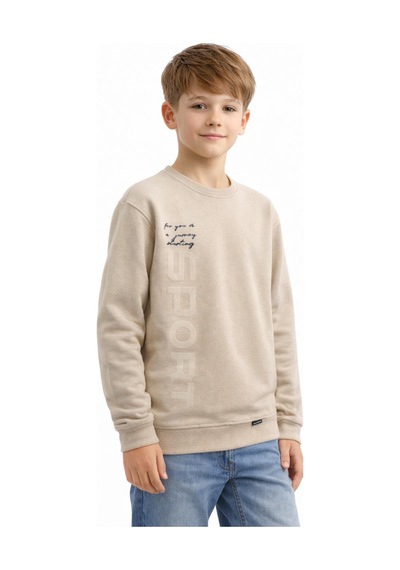 Baglan Erkek Çocuk Önü Baskılı Sweatshirt Bgl-st05233 Taş