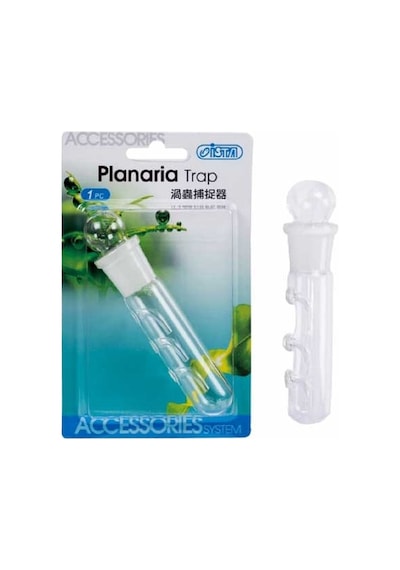 İsta Planaria  Tuzağı