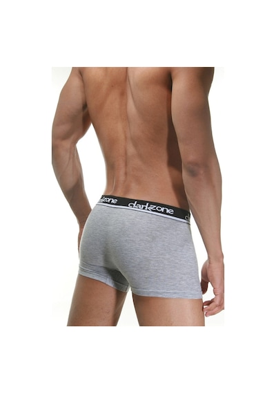Darkzone Gri Erkek Boxer - Dzn2303
