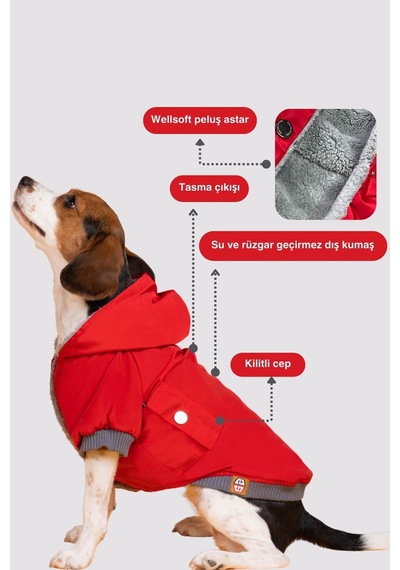 Köpek Mont - Red Design Su Geçirmez Köpek Yağmurluğu, Küçük Irk Köpek Kıyafeti