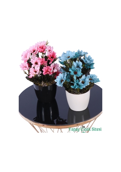 Yapay Çiçek Sitesi Plastik Saksıda Yapay Katmerli Papatya Tanzimi 2'li Set 25 Cm Fuşya Pembe - Turkuaz