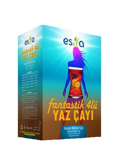 Esila Fantastik Dörtlü Yaz Çayı 90 G