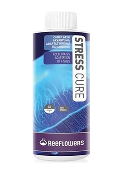 Reeflowerss Cure Akvaryum Balıkları içins  85
