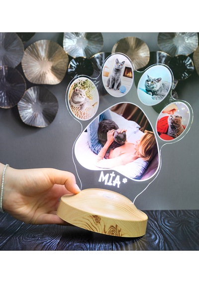Pati Tasarımlı Kedi Fotoğraflı Led Lamba - İsim Yazılı Kedi Sahibine Doğum Günü Hediyesi