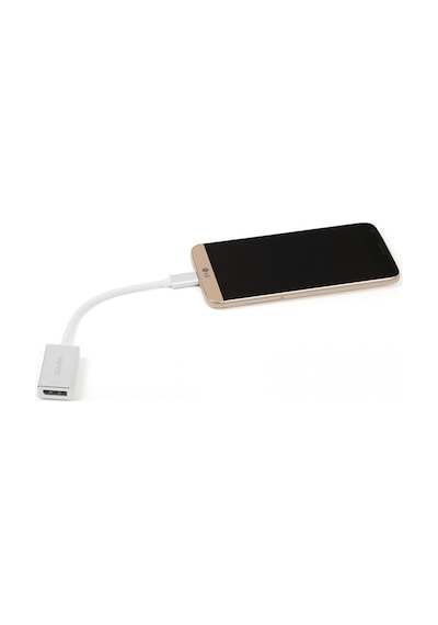 Dark Dk Ac U31xdp Type C Dısplayport Çevirici Adaptör Alüminyum
