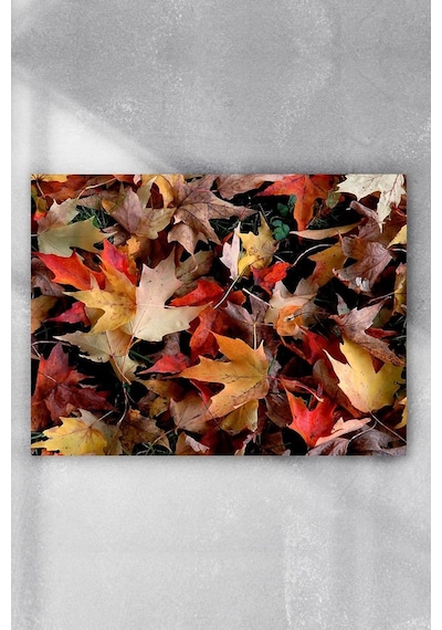 Pster6533 Sonbahar Manzara Poster 3 40x60cm 7/8 Yaş
