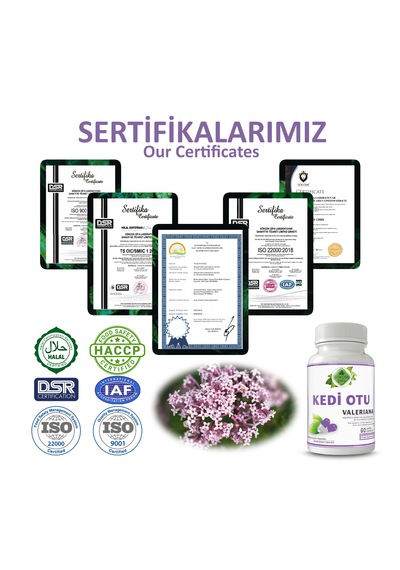 Gökçek Şifa Kedi Otu 60 Kapsül