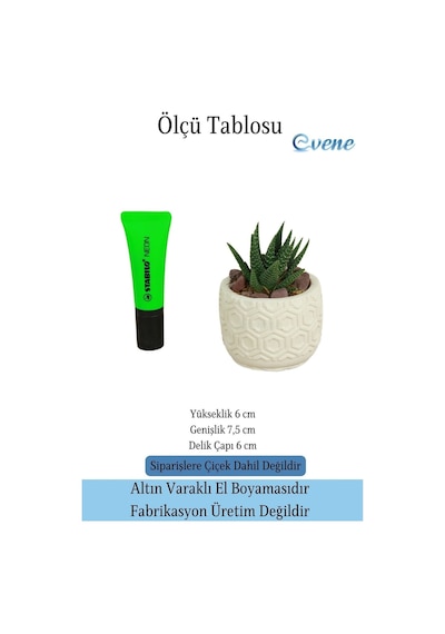 Mini Çiçek Saksı Küçük Sukulent Kaktüs Saksısı Altıgen Desenli Model - Beyaz