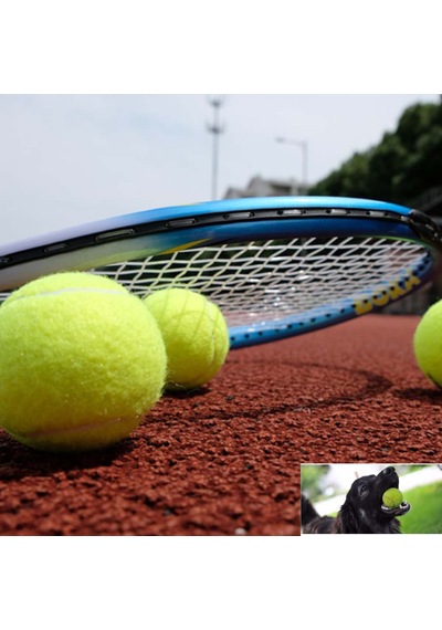 3 Adet Tenis Topu Köpek Oyun Topu Ve 1 Adet Zilli Ayarlanabilir Kedi Tasması