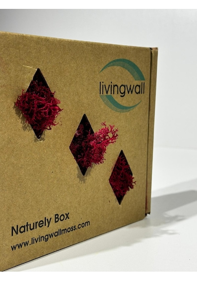 Reindermoss Şoklanmış Norveç Yosunu Terarium Yosunu Fushia 100 Gr.