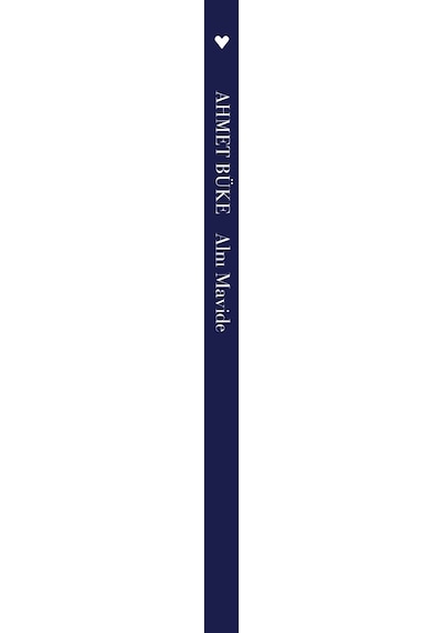 Alnı Mavide - Ahmet Büke - Can Yayınları