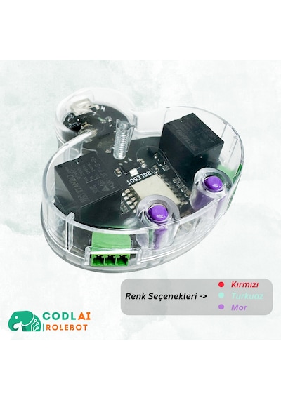 Codlaı Rolebot Esp8266 Akıllı Ev Otomasyon Kartı - Iot Uzaktan Kontrol Akıllı Priz Anahtar Modülü