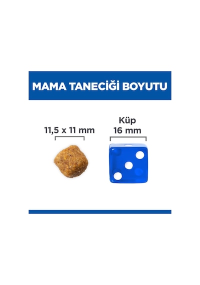 Hill's Hills Orta Irk Kuzu Etli Yetişkin Köpek Maması 12+2 Kg