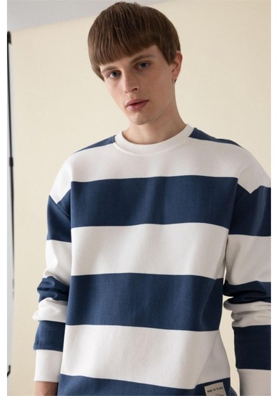 Defacto Boxy Fit Bisiklet Yaka Çizgili Sweatshirt A9066AX24AUBE88 Mavi