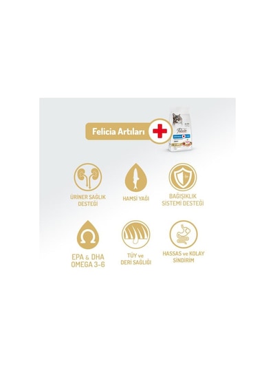 Felicia Light Somonlu Düşük Tahıllı Kısırlaştırılmış Kedi Maması 5 Kg