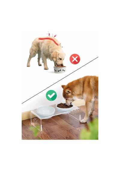 Gobypet 2'li Mavi Seramik Dekoratif Kedi Köpek Pleksi Mama & Su Kabı Paspas