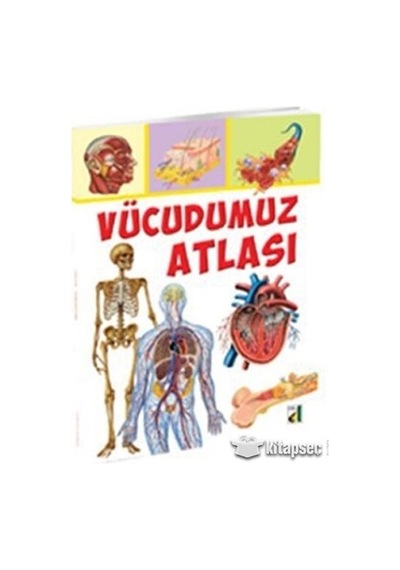Vücudumuz Atlası - Damla Yayınevi