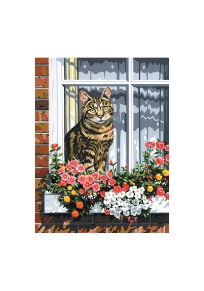 Camdaki Kedi Çerçeveli 40x50 Sayılarla Boyama Hobi Seti