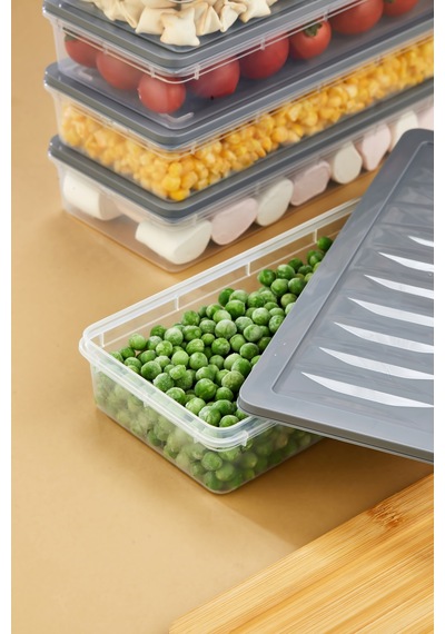 Multi Box 6 Lı Set Saklama Kabı Seti - Dondurucu & Mikrodalga Uyumlu Gri