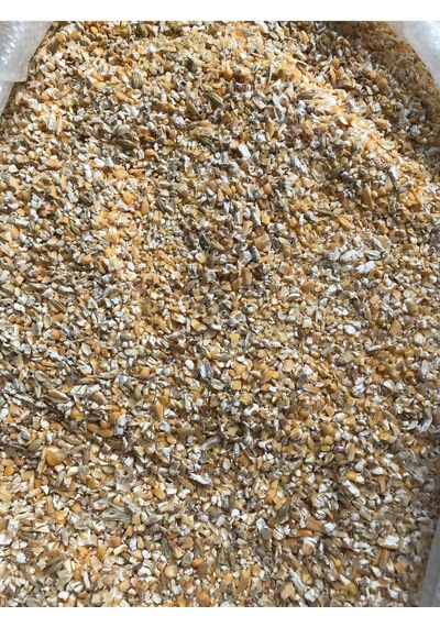 Kırma Mısır 3 Kg - Tavuk Ve Tavşanlara Özel Doğal Yem