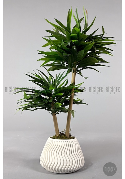 Yapay Bambu Ağacı 60cm Yoğun Yapraklı Spiral Saksıda Beyaz