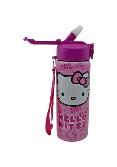 Hello Kitty 600 Ml Çelik Matara 3447 Çok Renkli