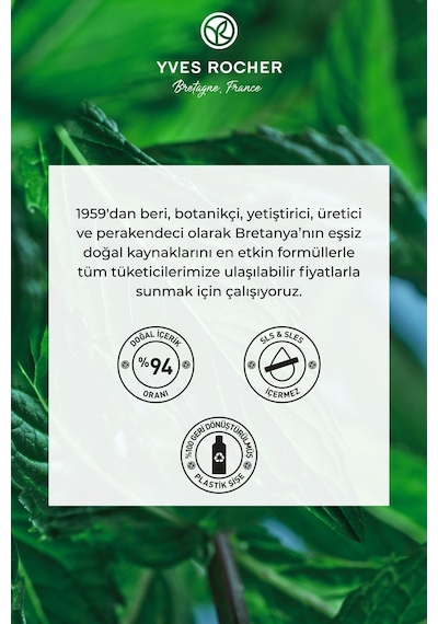 Kepek Oluşumunu Engelleyerek Saç Derisini Rahatlatan Etkili Şampuan 300ml