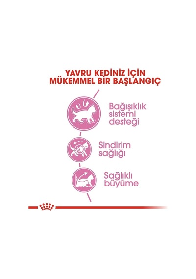 Kitten Yavru Kedi Maması - 2 Kg