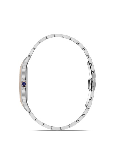 Momentus Men's Crown Master Em348t-11sr Gümüş - Rose Gold