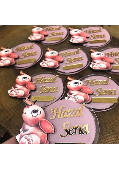 20 Li Tavşanlı Boyalı Magnet