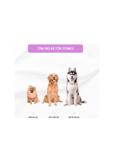 Pet's Family Kedi Sı,1300 Gr, 4'lü Paket Somonlu Kısır - Yetişkin 100 G