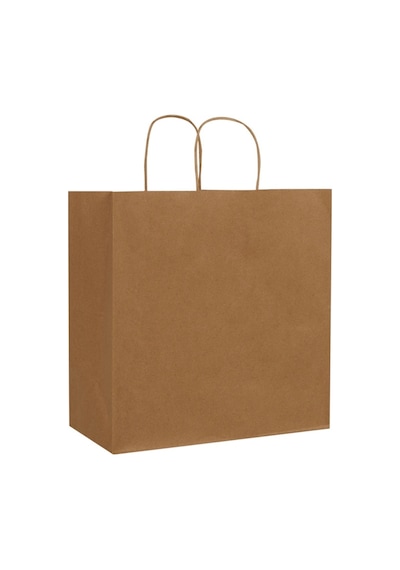 Packanya 32 x 12 x 41 - 500 Adet Burgu Saplı Kraft Çanta