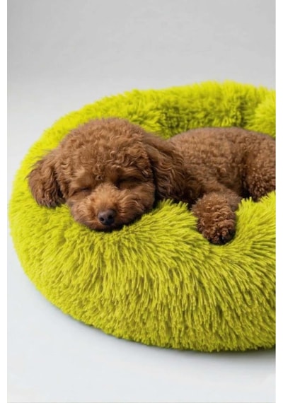 United Colors Of Benetton Bntmkt-0012-ye Uzun Kürklü Donut Kedi&köpek Yatağı Sarı 45 Cm