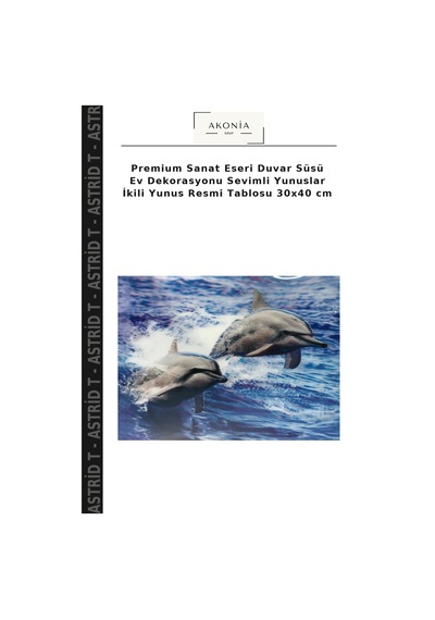 Premium Sanat Eseri Duvar Süsü Ev Dekorasyonu Sevimli Yunuslar İkili Yunus Resmi Tablosu 30x40 Cm Çok Renkli