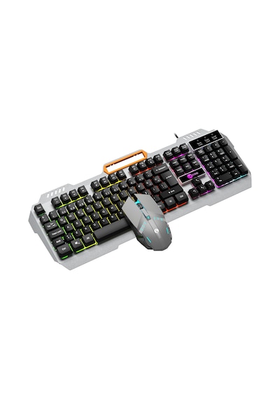Lecoo CM107 USB Kablolu Rainbow Türkçe Q Klavye & Mouse Seti