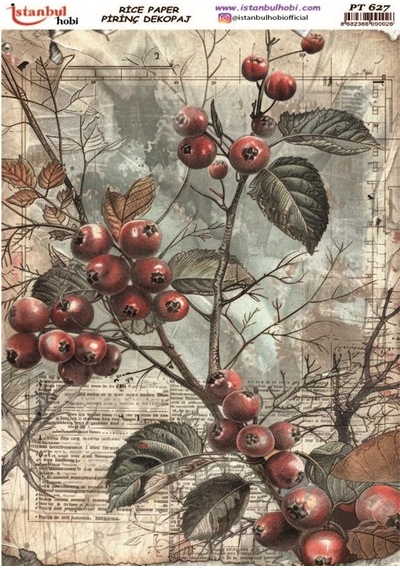 Pirinç Dekopaj Kağıdı 30x42cm Pt-627 Çiçek Meyve