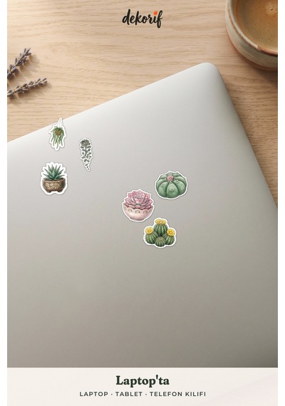 Kaktüs Ve Sukulent Sticker Seti 100 Adet - Saksı Bitki Çöl Çiçeği Botanik Ajanda Journal Çıkartma Çok Renkli